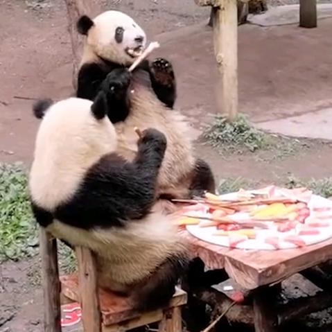 清月聊无痕
