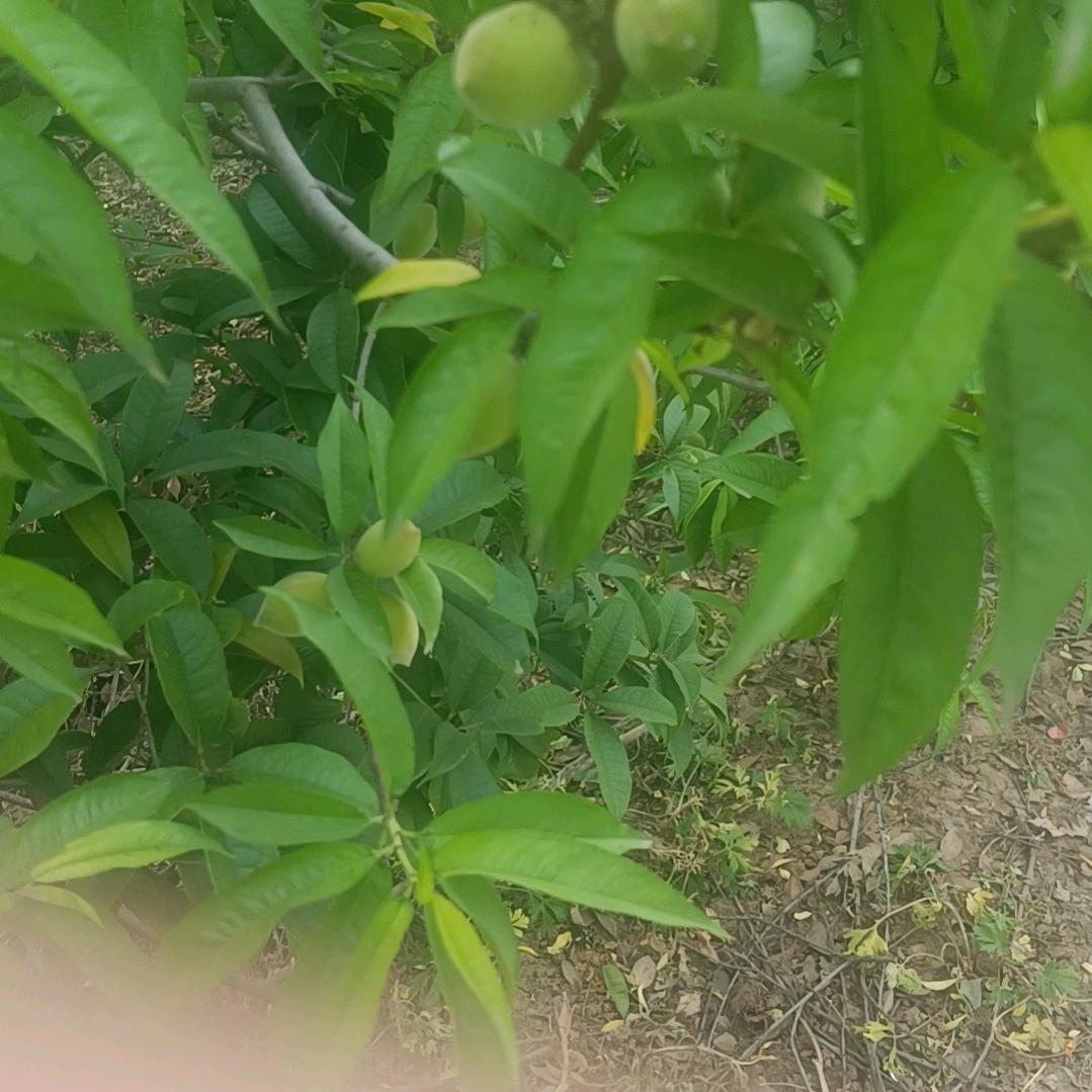 用户4656316087490