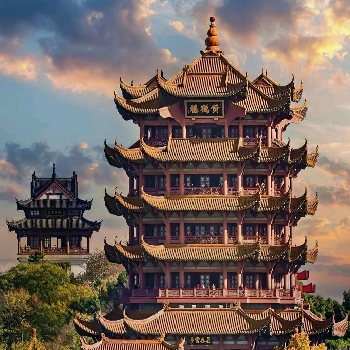 浩盒直播号