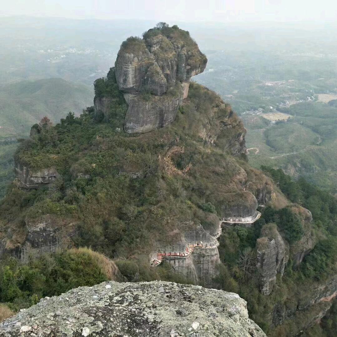 粤A广州市猎德村房地产商会江会长