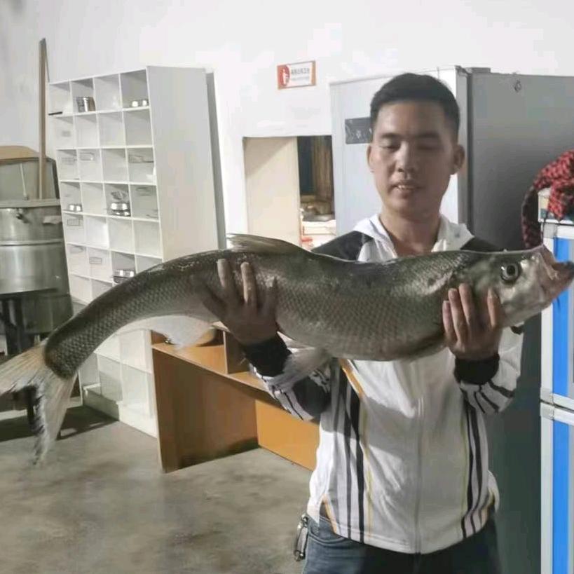 周猫爱钓鱼