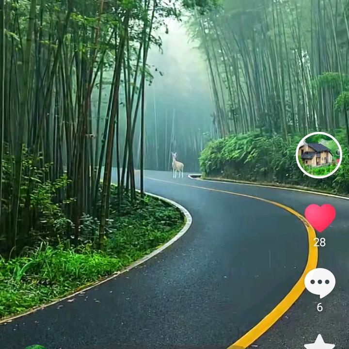 王慧