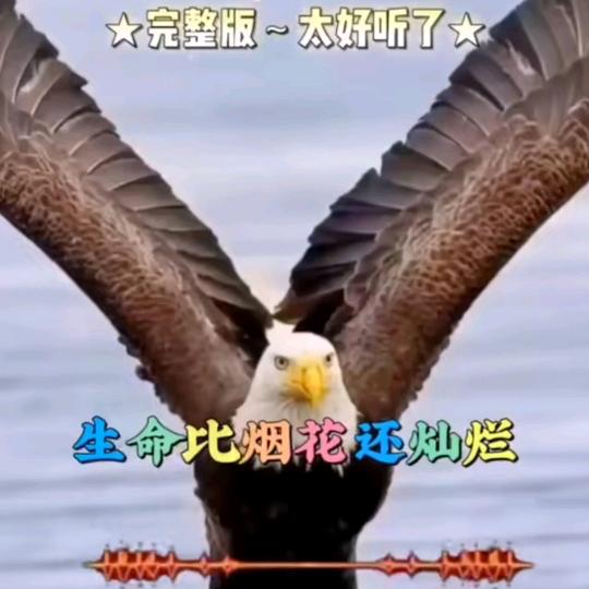 鑫昌隆蓉欣汽车服务有限公司