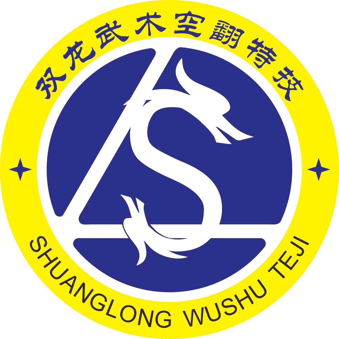 重庆双龙速成空翻