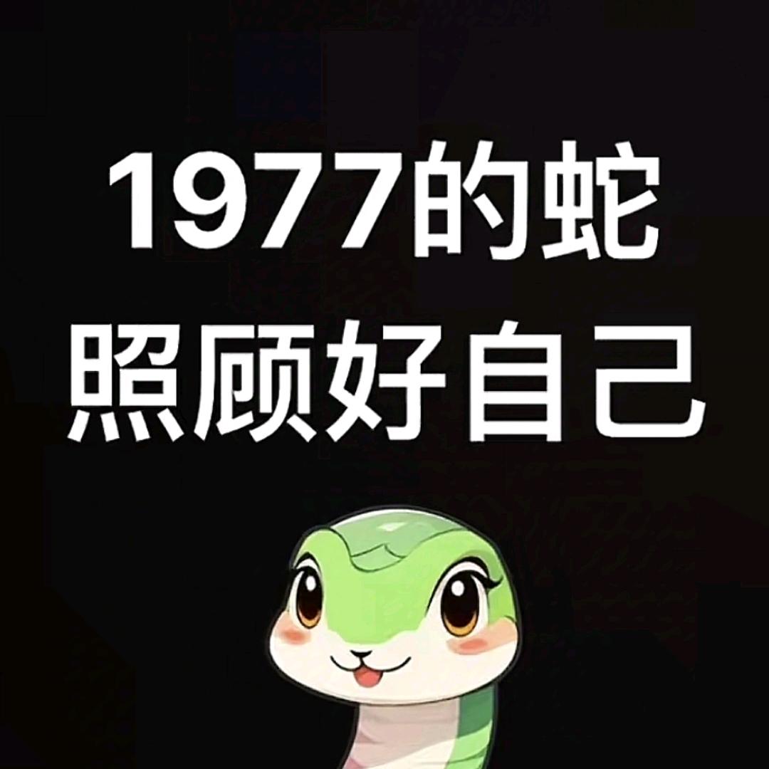 单身父亲（1）