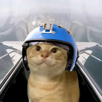 哈基瓦里氏吸氧羊