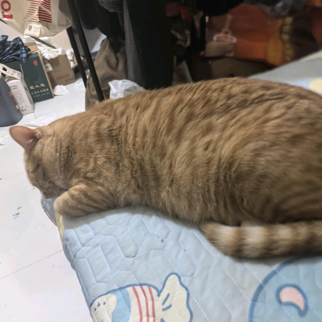 D.