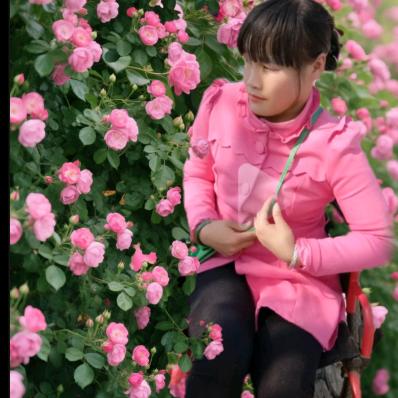 轮椅女孩玉儿（手工花成品接受预订)