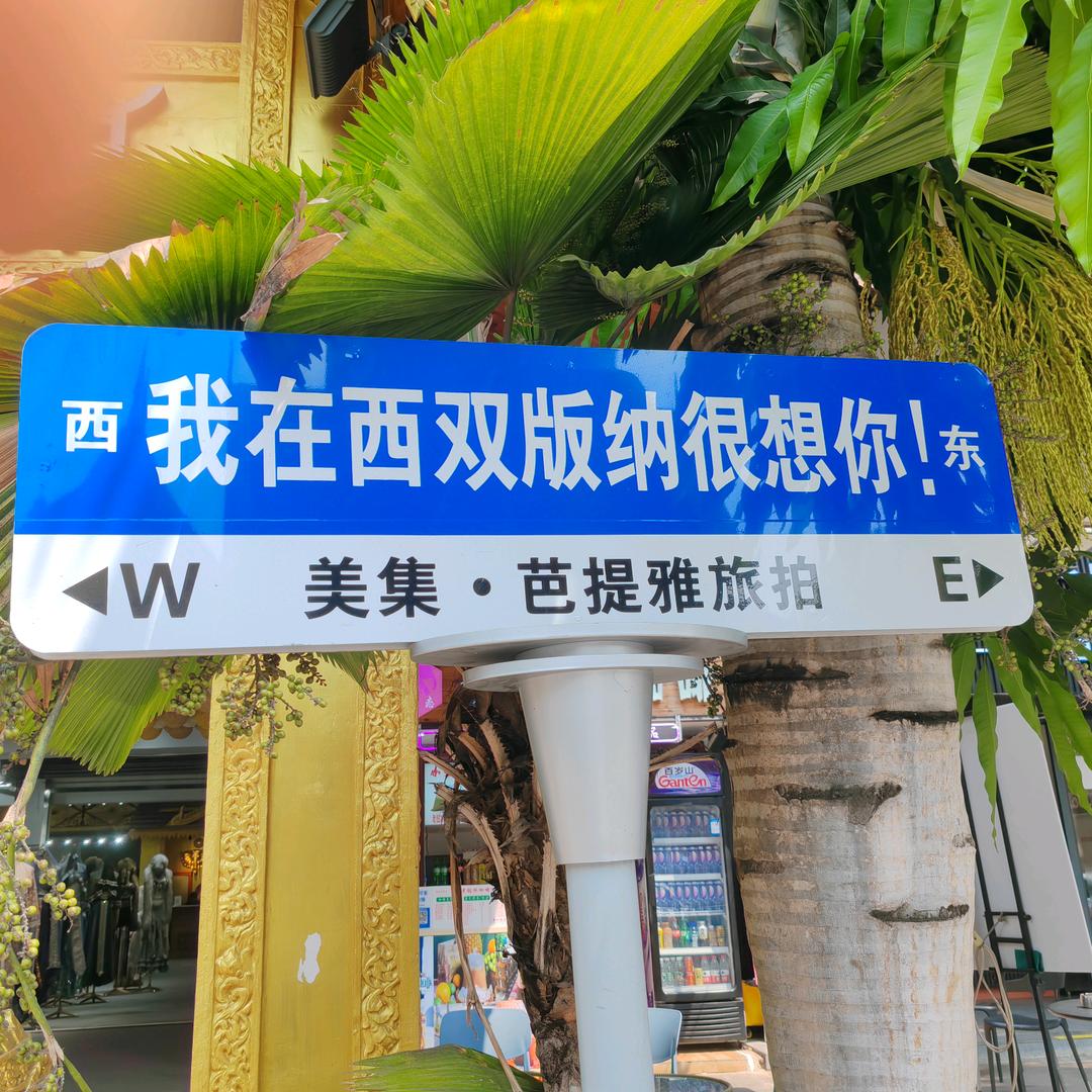 🍭像是风来过🍭