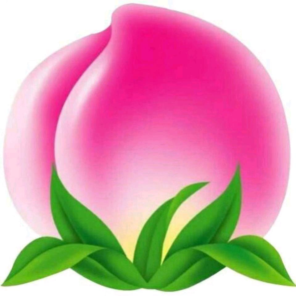 桃子🍑，