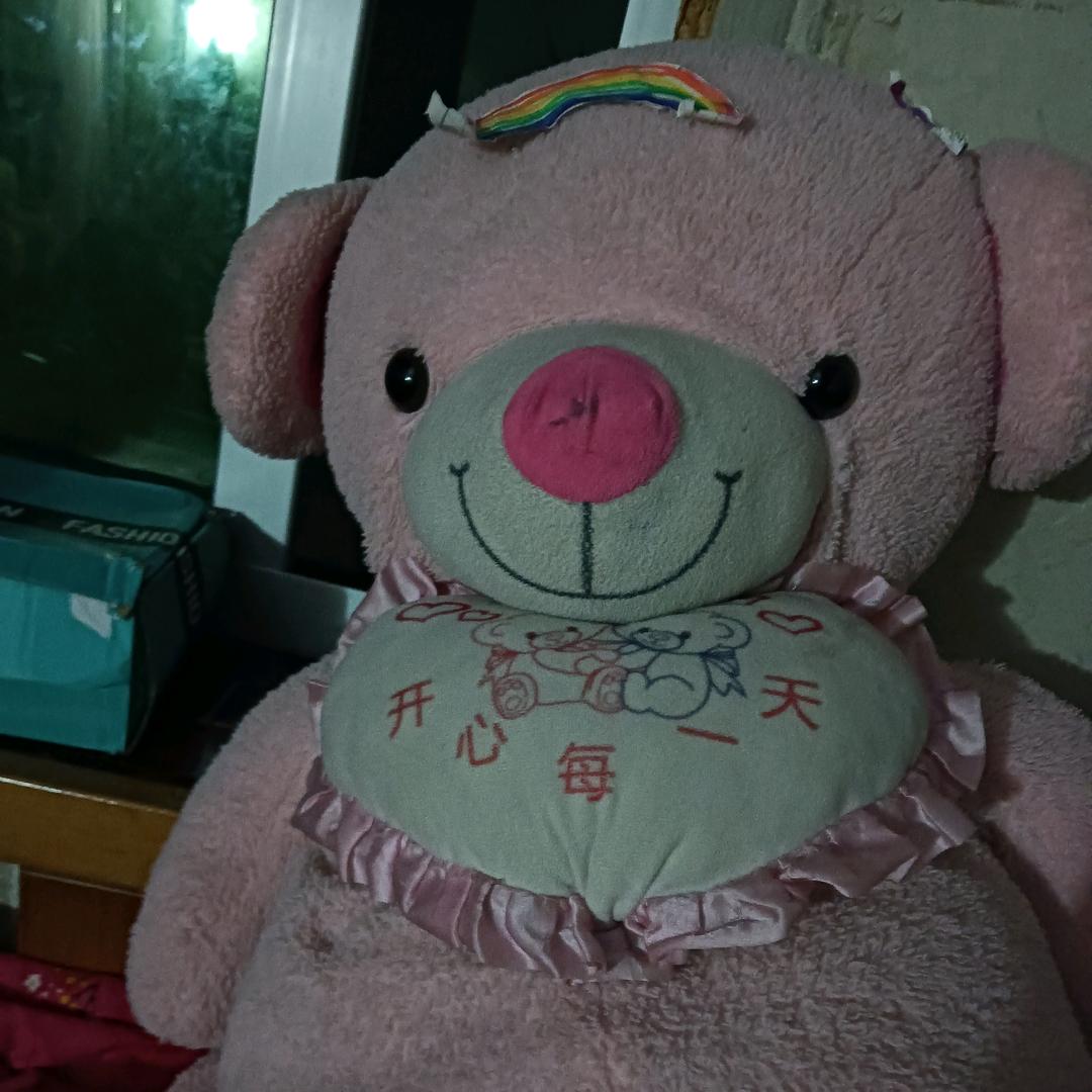 我的家在哪里