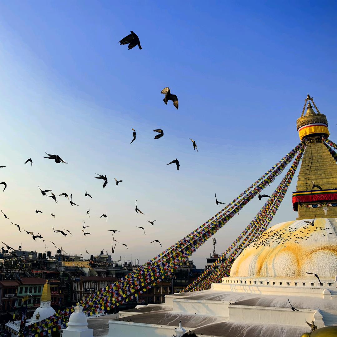 苏乞儿(永恒之塔2)