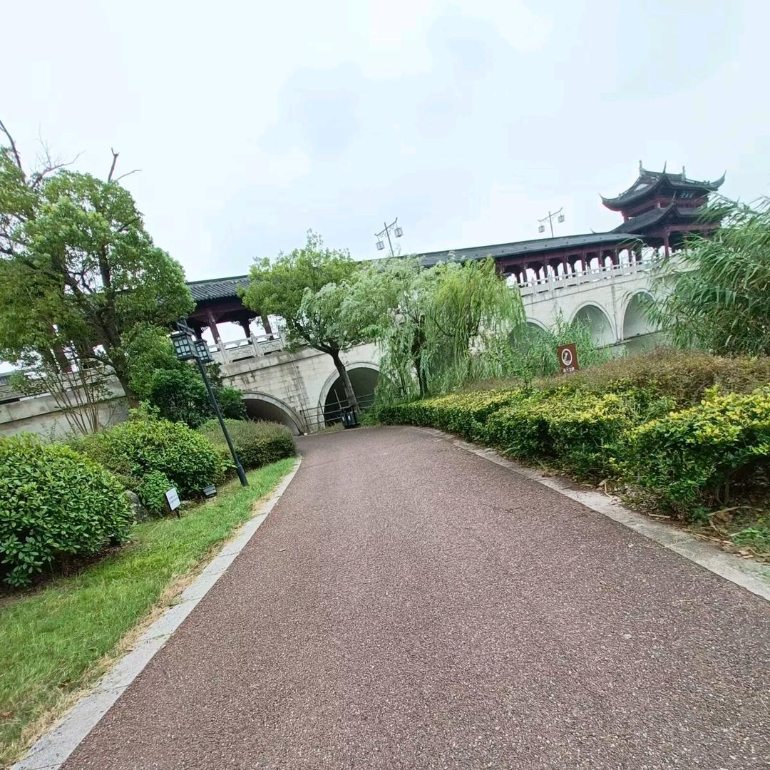 茗回