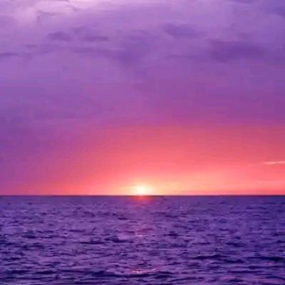 叶紫好物  ⁶⁶¹首播