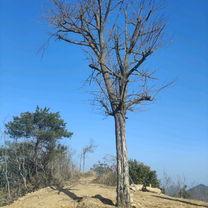 🦋ꦿ໊幸运᭄🕊 相伴᭄ꦿᩚ٭🦋ꦿ໊