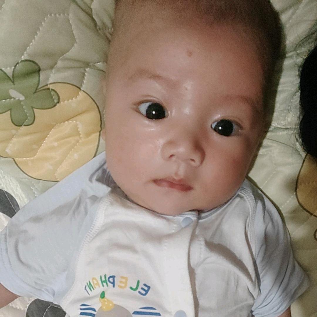 是屿不是🐟