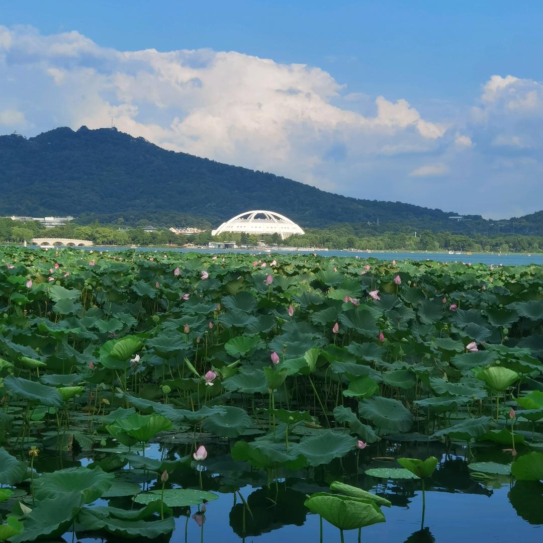 孙姐🦂🦂🦂🦂🦂🦂