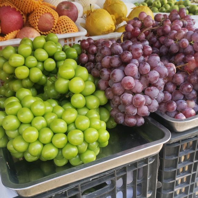 世界好物分享588