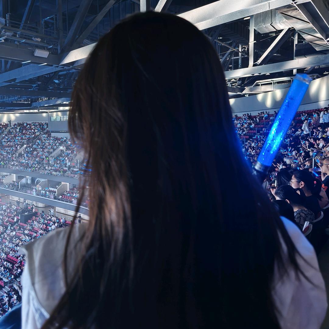 有点浪漫的猫小姐