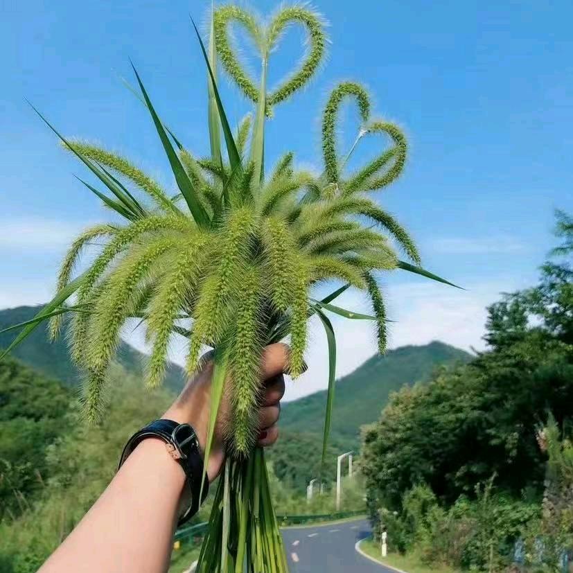 李瘦瘦