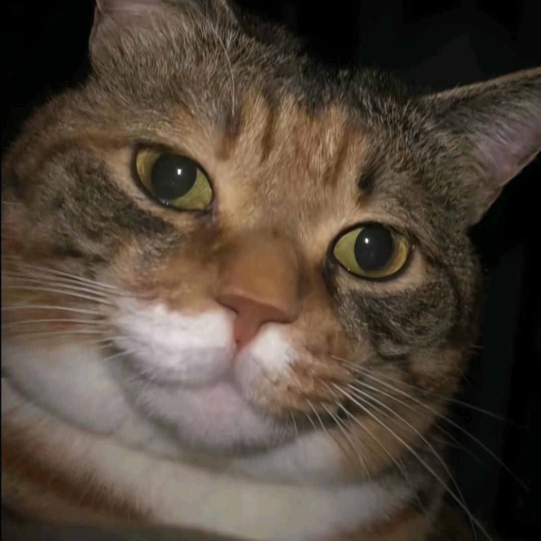 本人