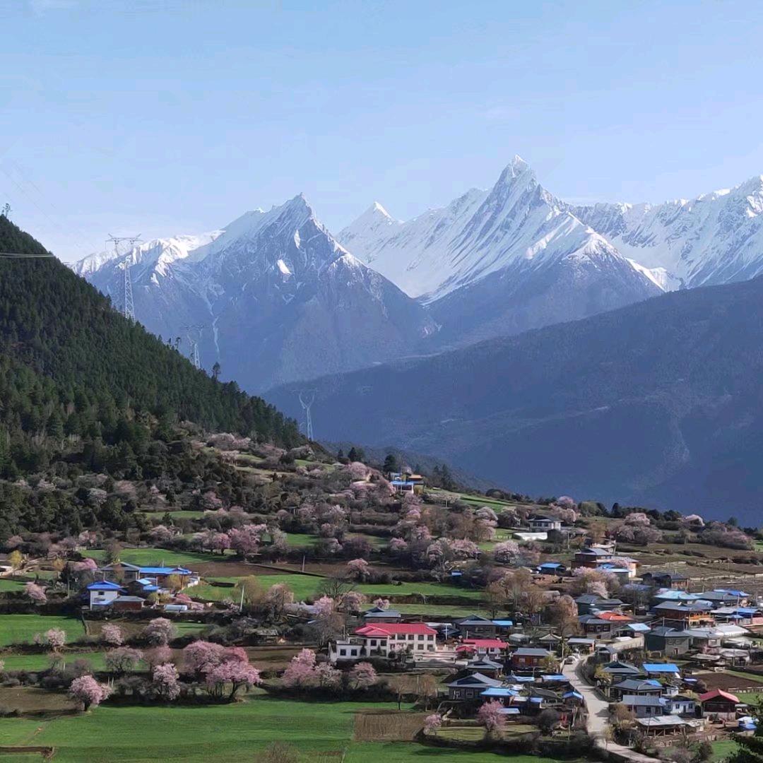 ལུས་🍒སེམས་🍇