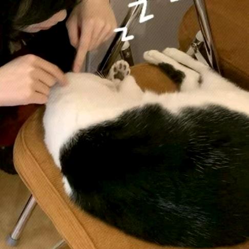 烬