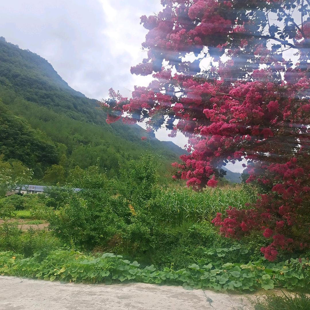 情义无价