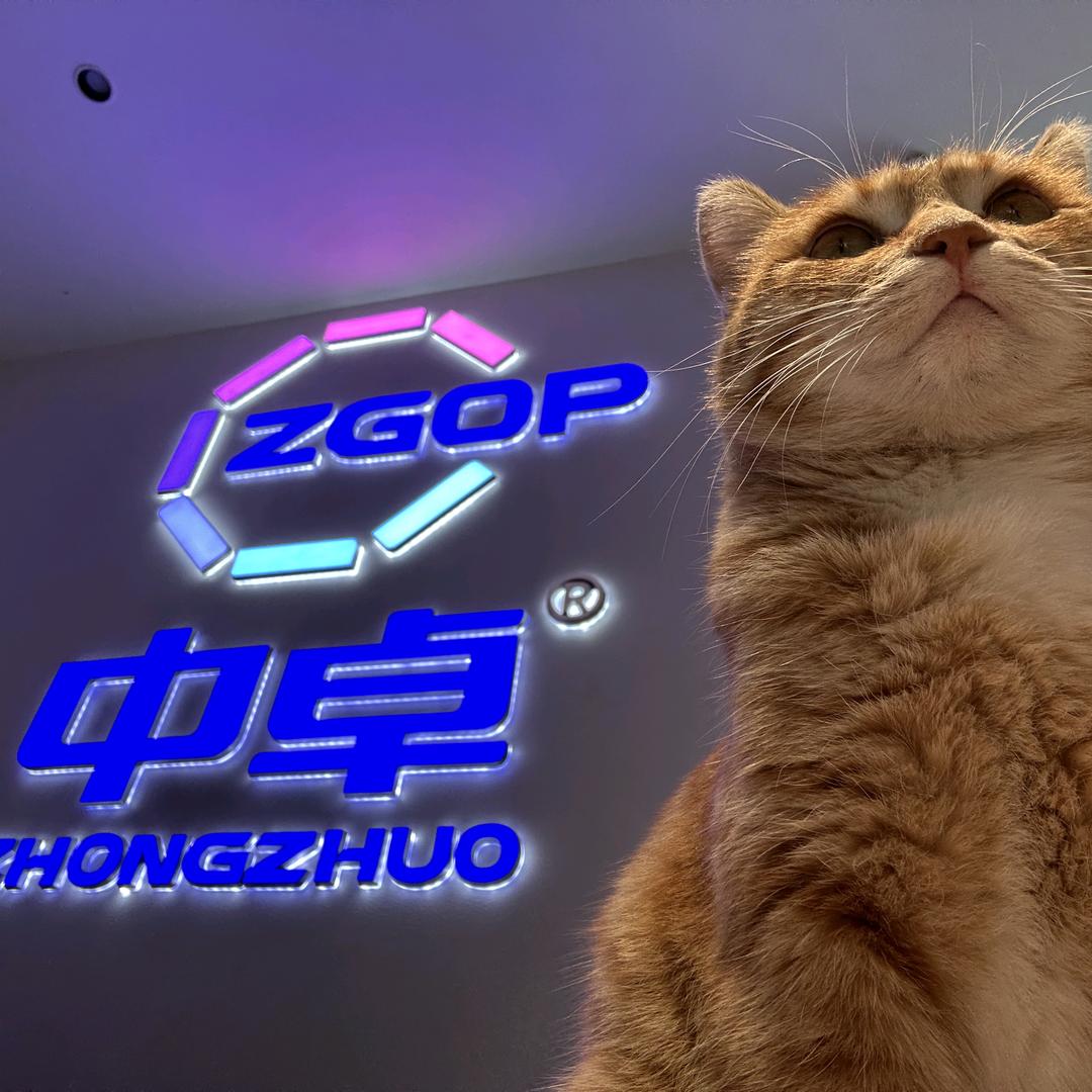 石河子中卓美缝