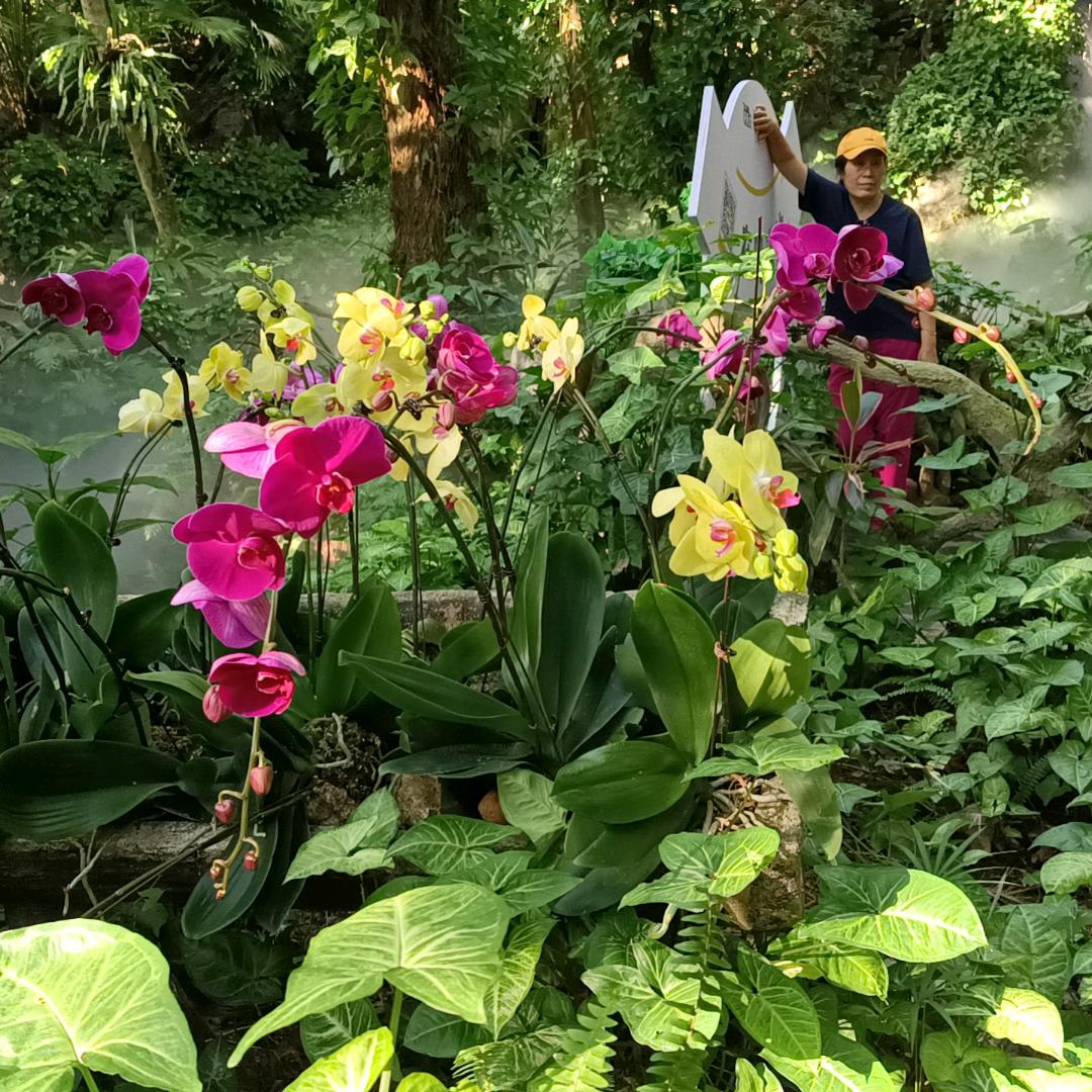 一一一山青水秀