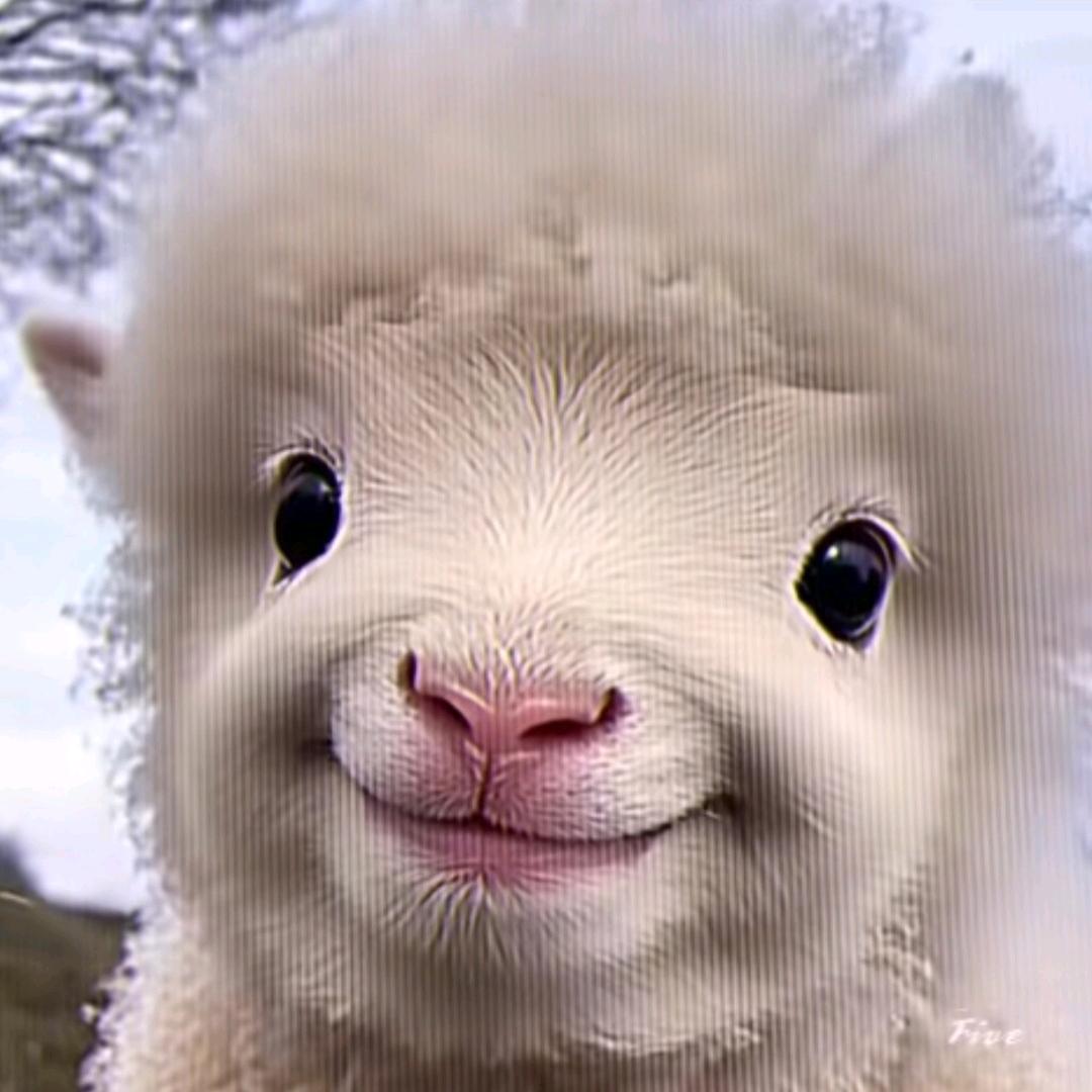 森口（三角洲）