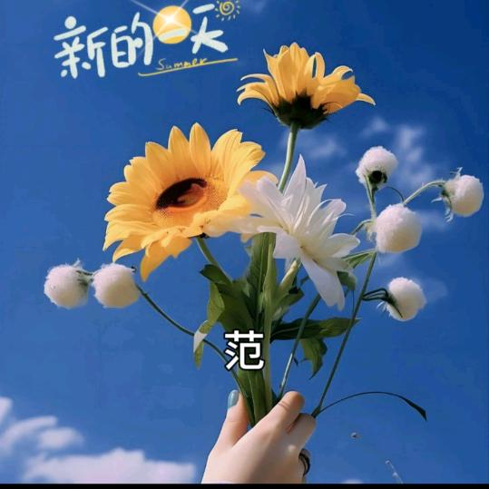 倔犟的小娘子