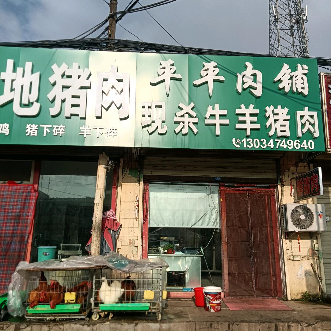 平地泉平平现杀本地隔年猪小号