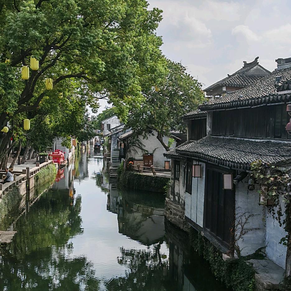 🇨🇳楚尧🇨🇳