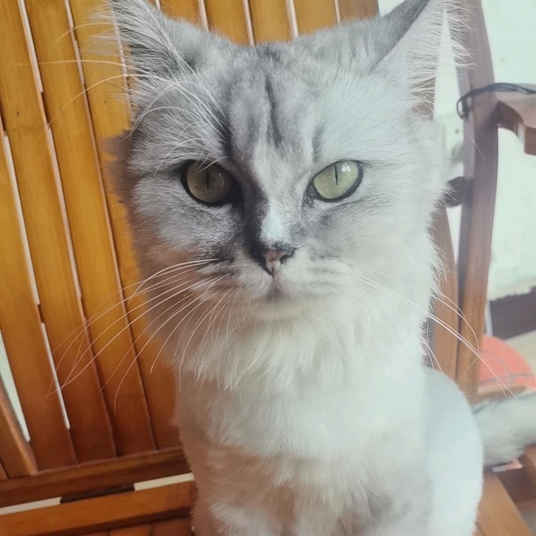 杰…...
