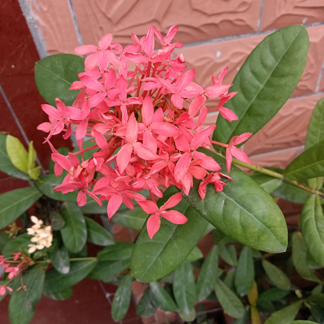 让阳光自然播洒