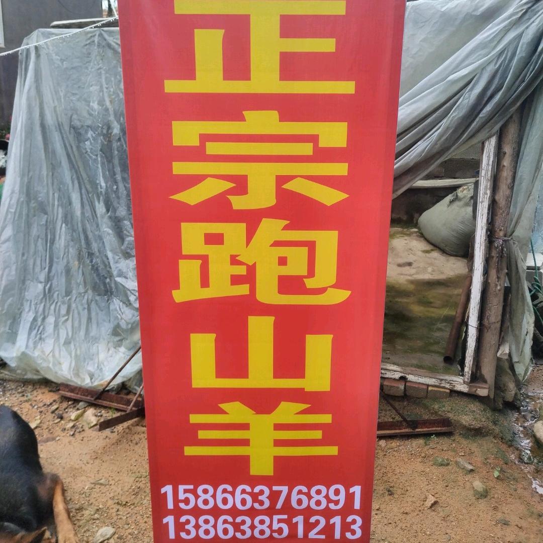 程子