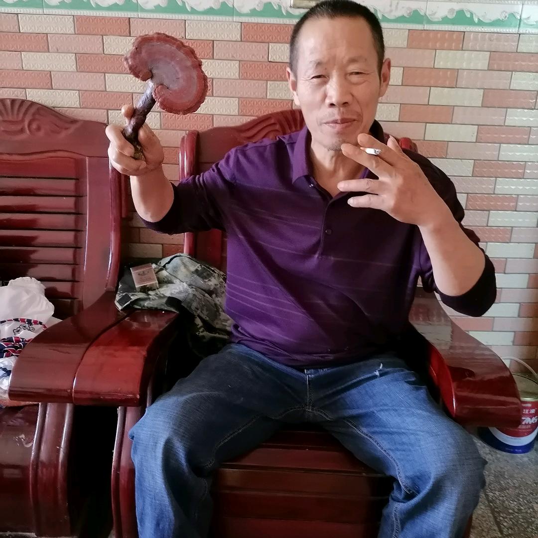 农村仙