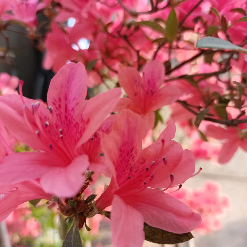 与你情深
