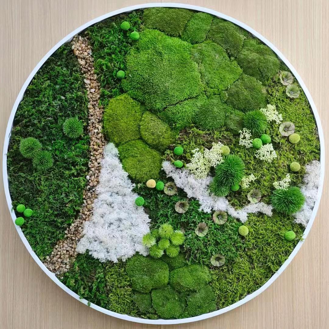 天鑫鲁鲁