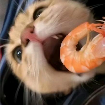 红红火火