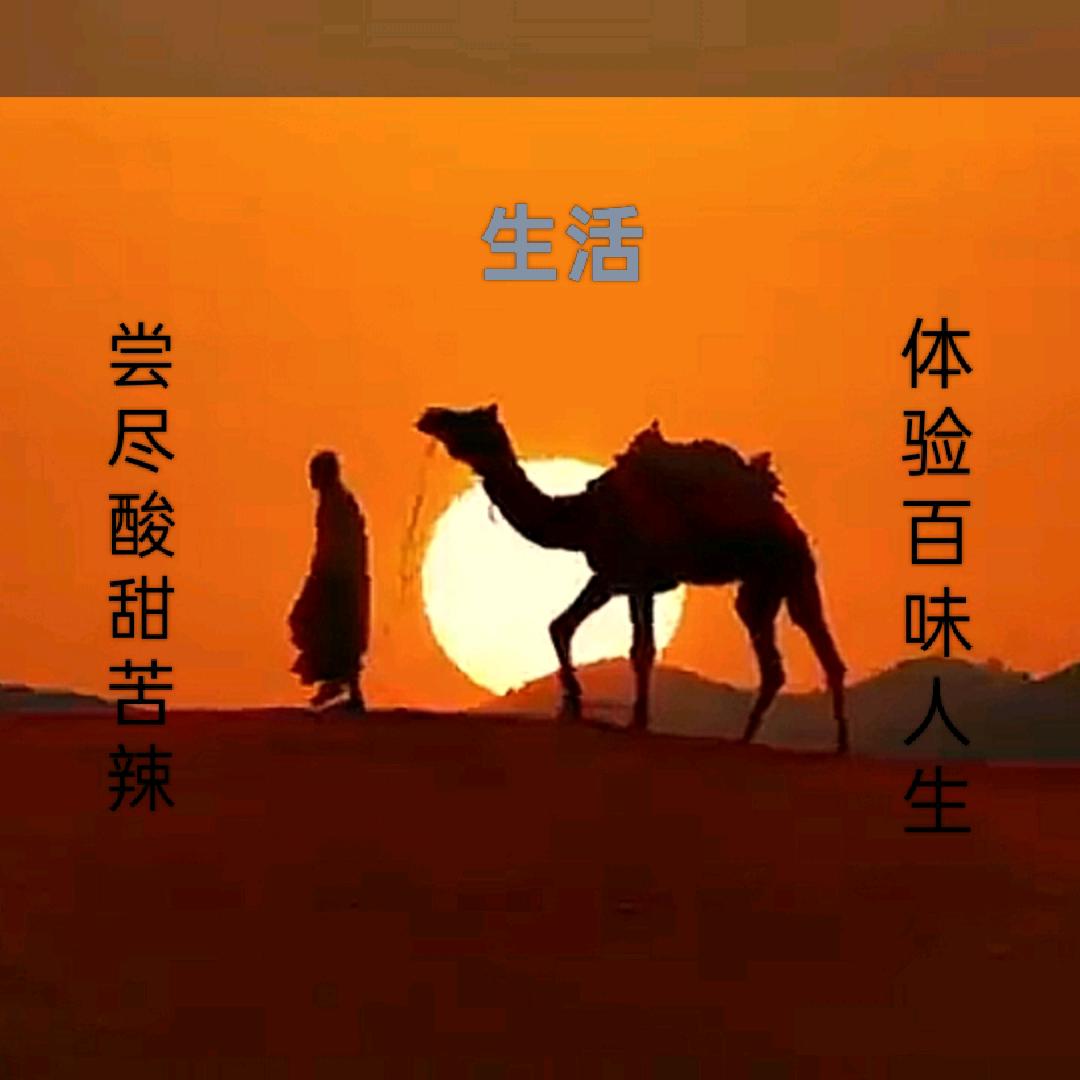 百味人生