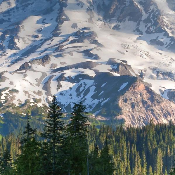 随州市金洋铁花有限公司