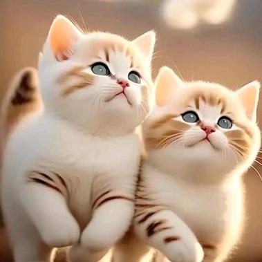 向前冲🐦⁸º⁶