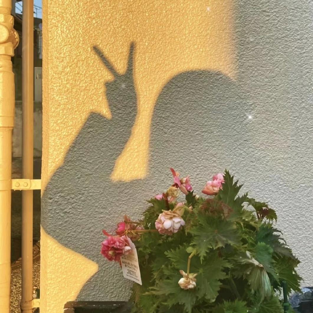 马会勤