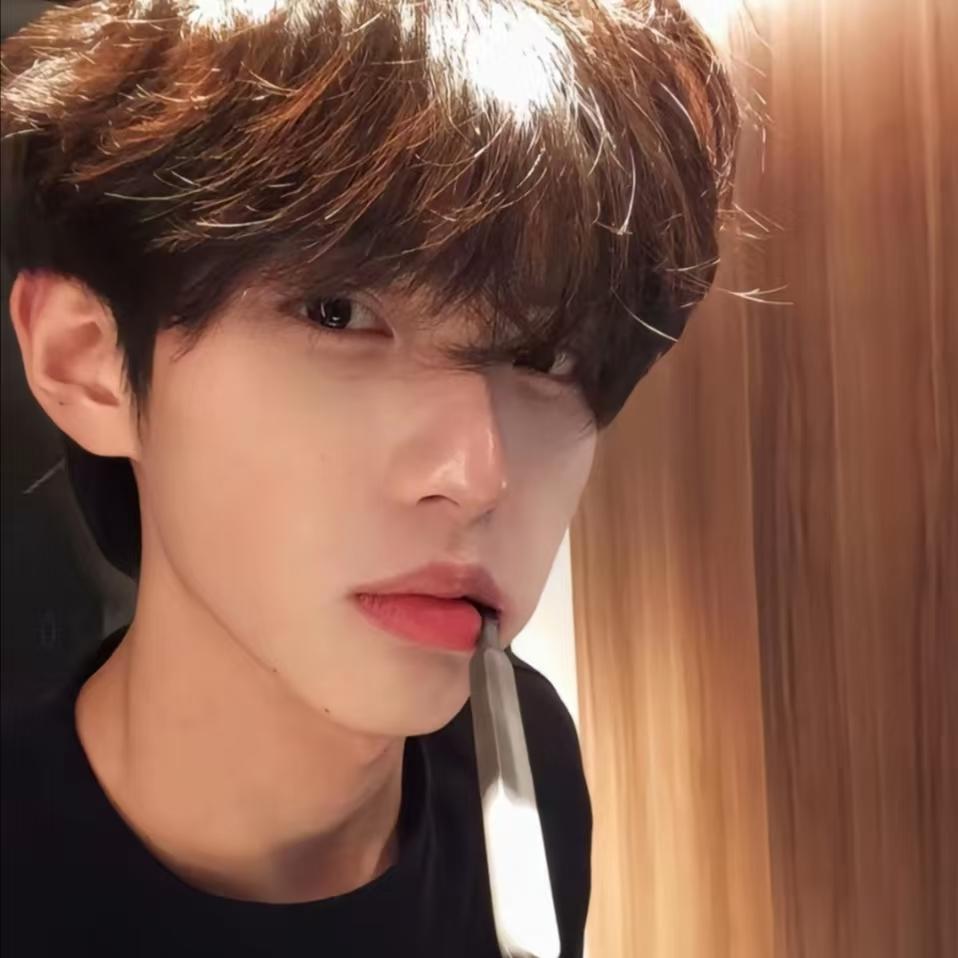小灰灰的灰