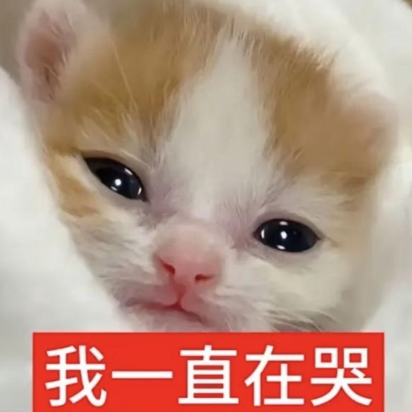 雨衣.