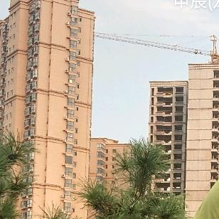 流浪的岁月