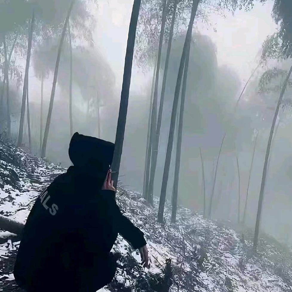 七夜雪
