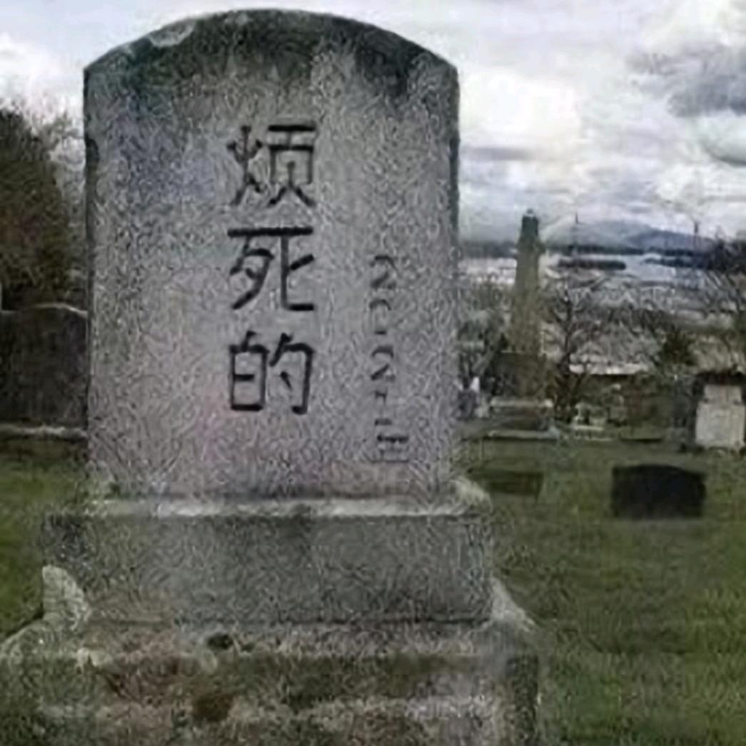 史上最惨老母猪